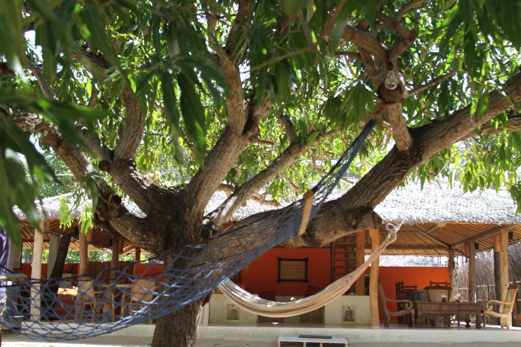 Cocodance Kitesurfing Resort Kalpitiya Exterior foto